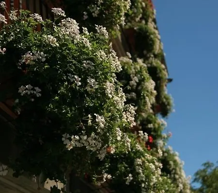 Tse Fine E Marcel Bed & Breakfast