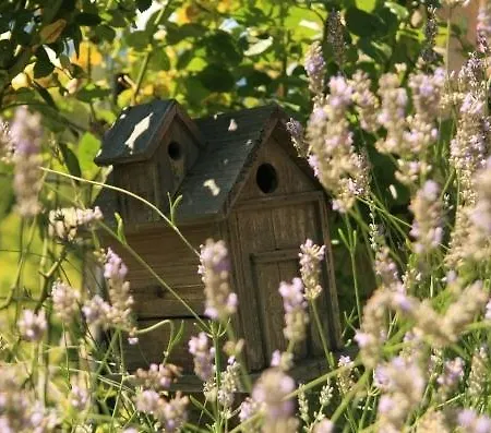 Bed & Breakfast Tse Fine E Marcel